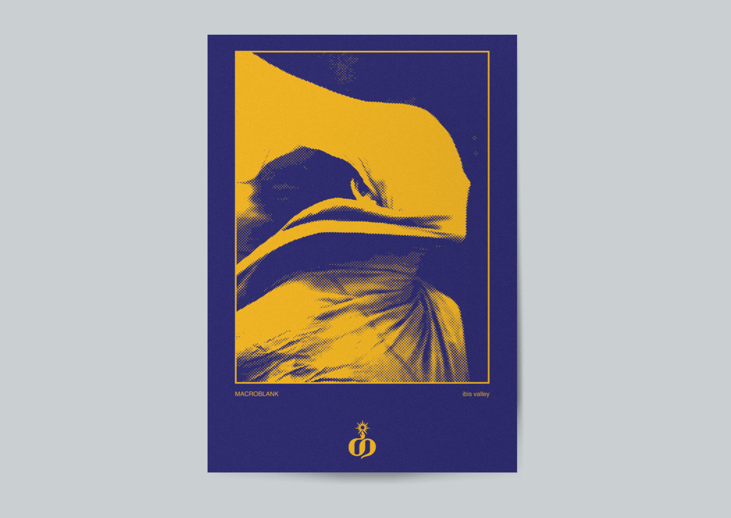 ibis valley Discounted Vinyl & Poster Bundle