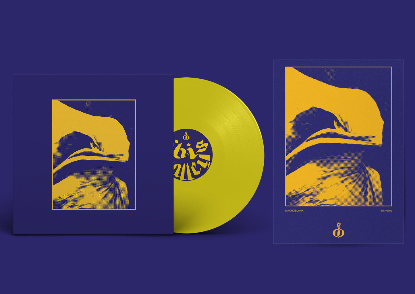 ibis valley Discounted Vinyl & Poster Bundle